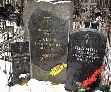 Могила Николая Шамина